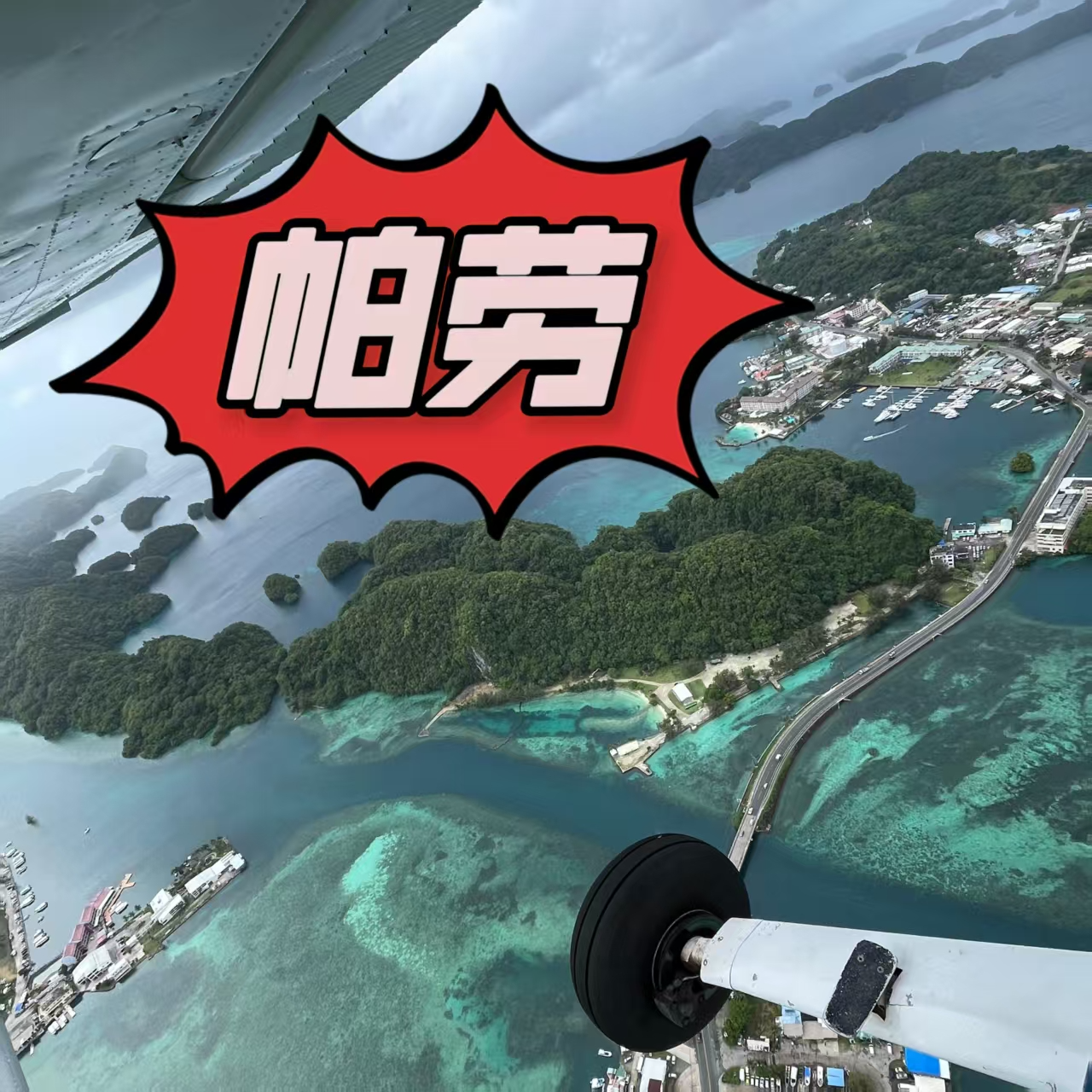 5. “潜伏”帕劳” - PADI双证连考 | 上周刚回来 episode artwork