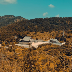 第7瓣.寻迹二仙:延续千年的崇拜