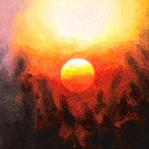 67 彩虹组：ENFP✖️INTJ：登上草台班子：我们是如何“演”成自己的？