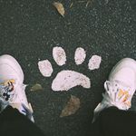 乘梯安全注意事项