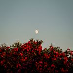 番外丨闲聊人生和做播客的第四年（4周年特别节目+送福利）