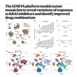 664-GENEVA: Modeling KRAS Inhibitor Responses