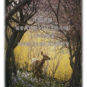 遥远的是救世主，门口的是自己人 E06