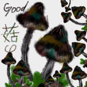 纳凉特辑：阴阳眼少女的灵异编年史