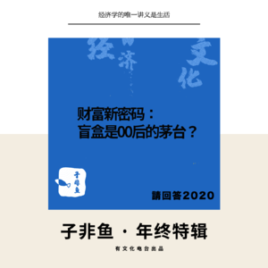 E34 | 【请回答2020】财富新密码：盲盒是00后的茅台？