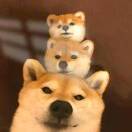 TweArc