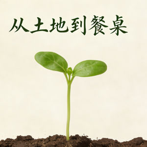 从土地到餐桌