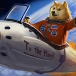 DogetotheMoon