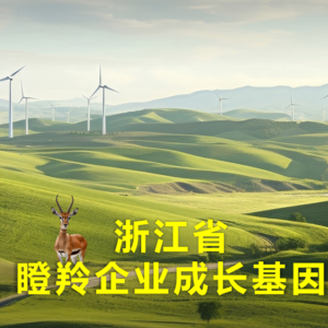 EP16:浙江省瞪羚企业成长基因