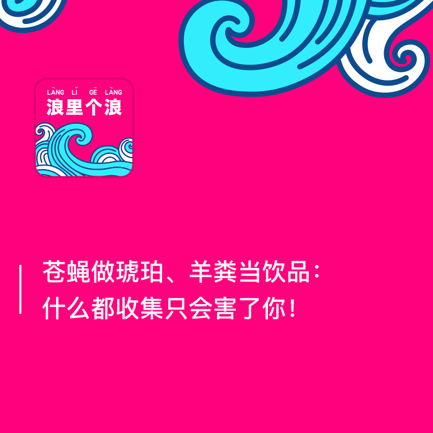 50、苍蝇做琥珀、羊粪当饮品：什么都收集只会害了你！