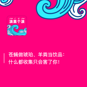 50、苍蝇做琥珀、羊粪当饮品:什么都收集只会害了你!