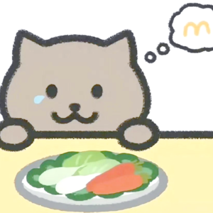 No.5 胖猫离去,或许是男女对立的冲锋号