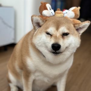 Jennie不简单