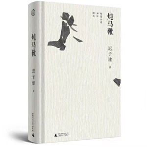 38【迟子建】《炖马靴》：情感浓度爆表的一本书