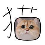 金渐好几层