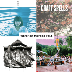 Vol.6
