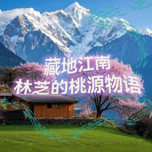 纯人声18mins | 藏地江南，林芝的桃源物语 | 高质量中文快速深度催眠冥想放松助眠
