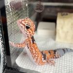 在路上滑来滑去