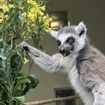分贝