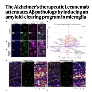 944-Lecanemab attenuates Alzheimer’sAβ pathology