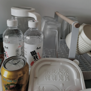 VOL118.收拾行李1.0版本：24号下午从西安出发去山东。