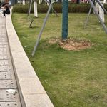 JKY_307004