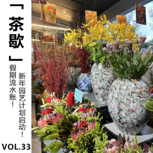 Vol.33 假期流水账！新年园艺计划启动！
