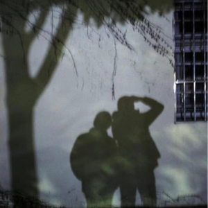 Vol. 006 情爱之事，年过四十始知味