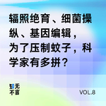 用绝育蚊子控蚊，走到哪一步了？