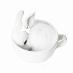 正义红豆正在苦恼身高问题