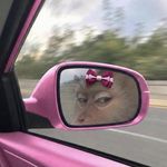 bneko