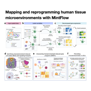140-MintFlow:AI解构疾病微环境