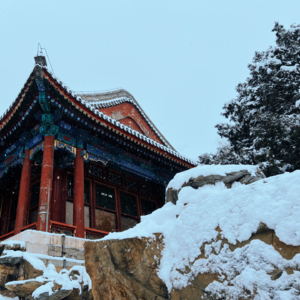 004. 说好要离开北京,怎么越聊越舍不得了