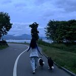 尼妮per
