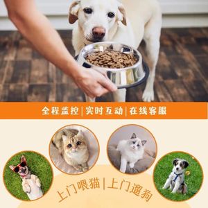 低门槛、高需求的副业新选择
