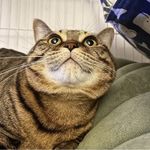傑_Hugo