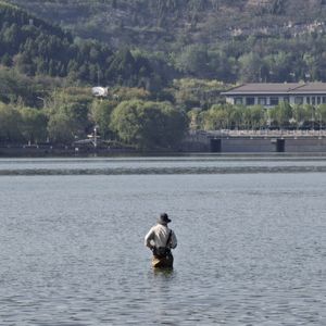 红医师