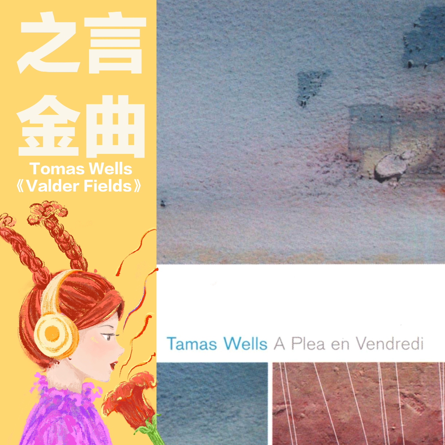 Tomas Wells《Valder Fields》：了解完这首歌的故事后，你还会觉得它治愈吗？ episode artwork