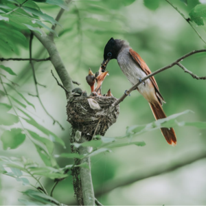 修行 | 帮助孩子拓宽视野，长见识