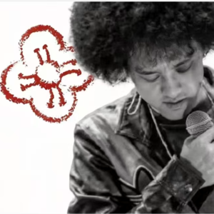 E1.送你一朵小红花:纪念潇洒哥赵英俊
