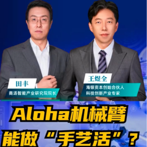 第209集 Aloha机械臂能做“手艺活”？