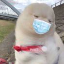 小心小欣特省心