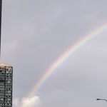 113.从“老好人”变“为难人”，职场人的“黑化”之路 | 青椒日记4