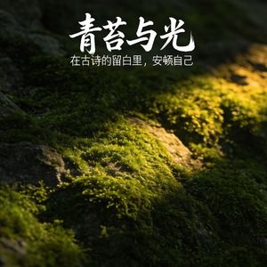 第1期 春晓：于鸟鸣深处，寻一刻安宁
