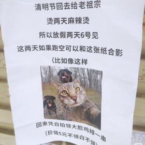 第622期：一串鸡排引发的流量风暴——阎老师的网红初体验