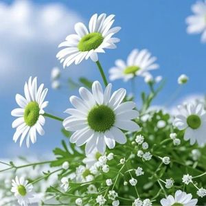 podcaster-avatar