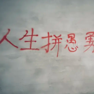 量化，买公募还是买私募？有什么不同？