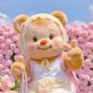 张向宇Amanda