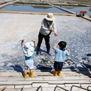 釜山面临“消失”风险，韩国生育刺激新政策能扭转局面？