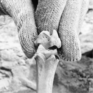 023. 对话北大考古博士穆川：我们考古学者从来不说“自古以来”